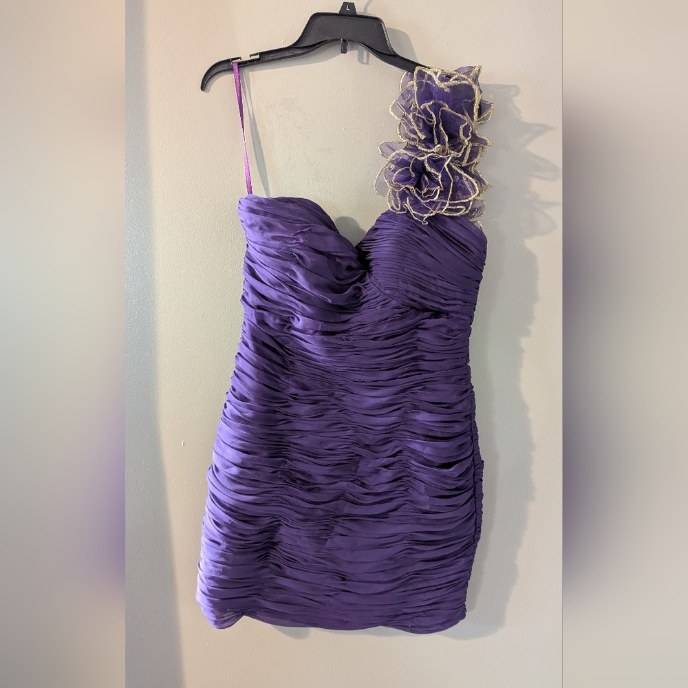 Beautiful Dark Purple Statement Short Dress. From Poly USA. XL